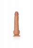 Straight Realistic Dildo  Balls  Suction Cup - 10/ 25,5 cm